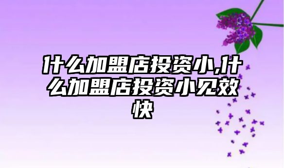 什么加盟店投資小,什么加盟店投資小見(jiàn)效快