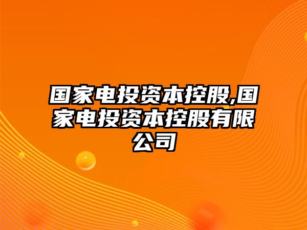 國家電投資本控股,國家電投資本控股有限公司