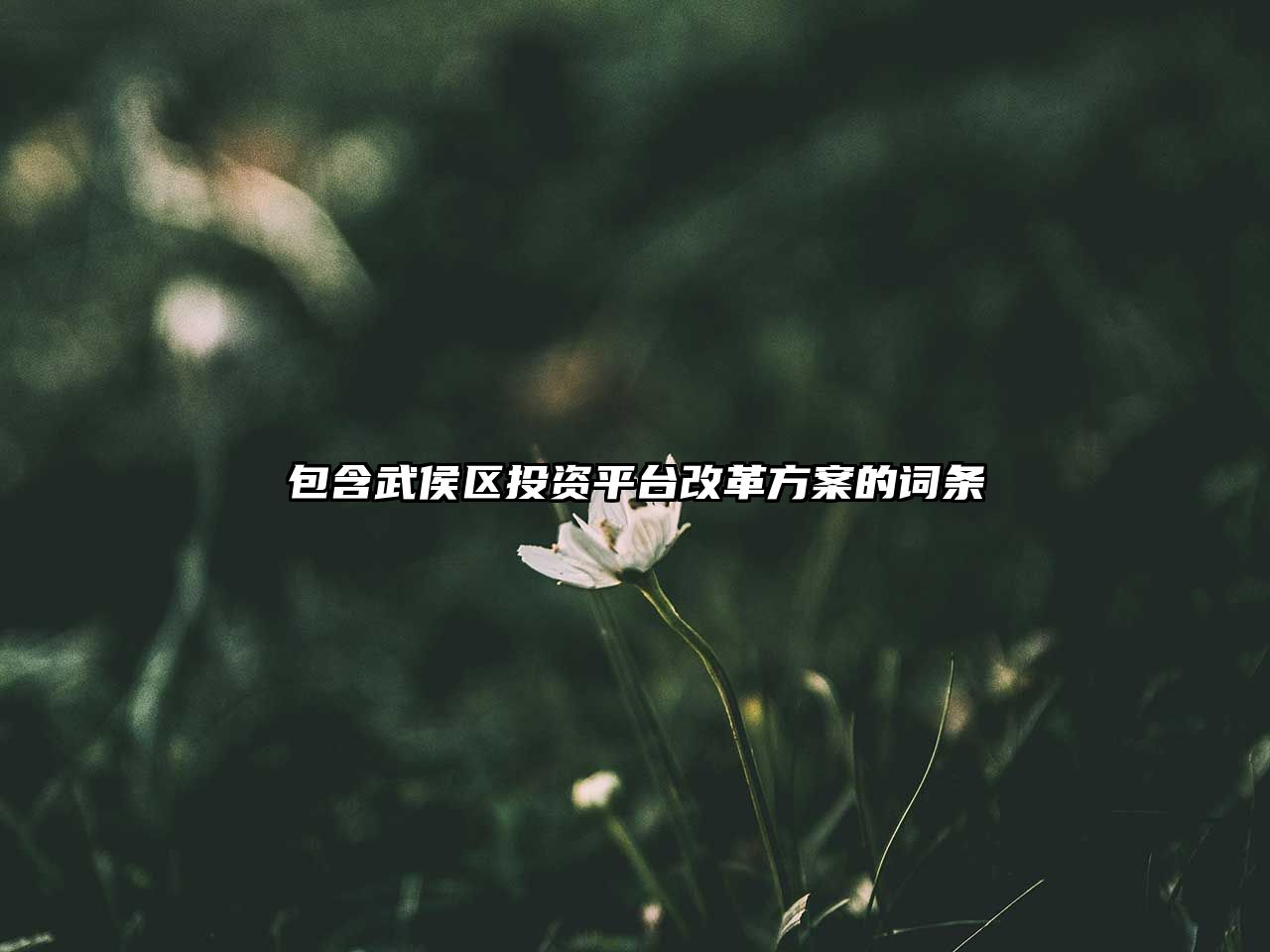 包含武侯區(qū)投資平臺改革方案的詞條