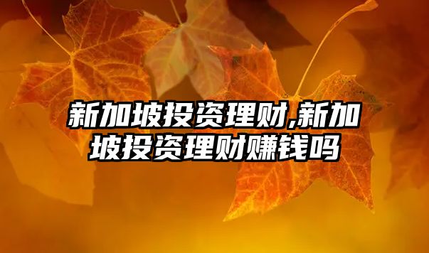 新加坡投資理財(cái),新加坡投資理財(cái)賺錢嗎