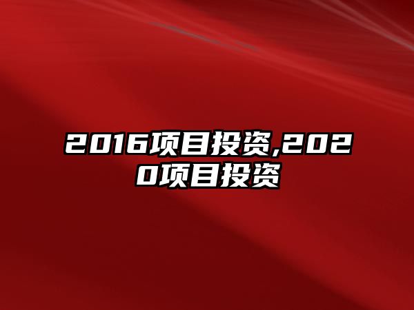 2016項目投資,2020項目投資