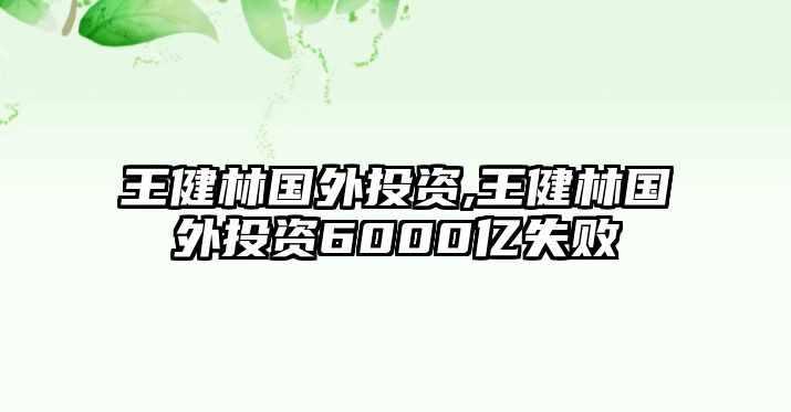 王健林國(guó)外投資,王健林國(guó)外投資6000億失敗