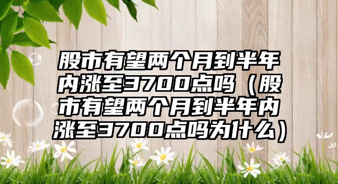 股市有望兩個(gè)月到半年內(nèi)漲至3700點(diǎn)嗎（股市有望兩個(gè)月到半年內(nèi)漲至3700點(diǎn)嗎為什么）