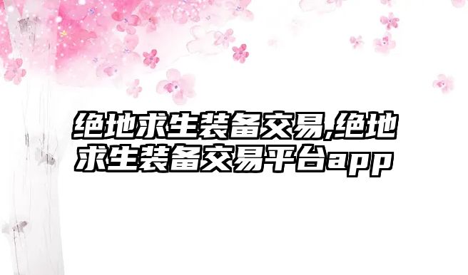 絕地求生裝備交易,絕地求生裝備交易平臺app