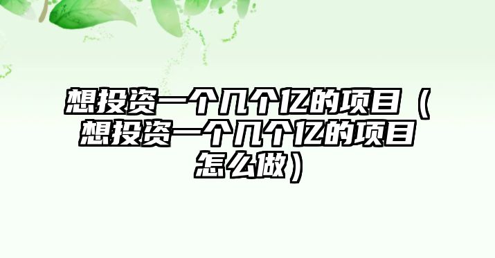 想投資一個幾個億的項目（想投資一個幾個億的項目怎么做）