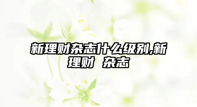 新理財(cái)雜志什么級(jí)別,新理財(cái) 雜志