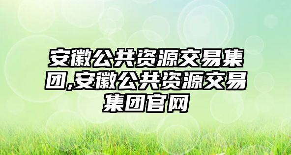 安徽公共資源交易集團(tuán),安徽公共資源交易集團(tuán)官網(wǎng)