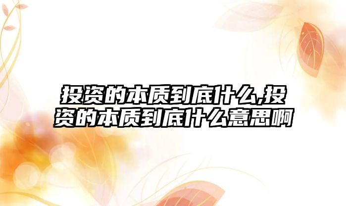 投資的本質(zhì)到底什么,投資的本質(zhì)到底什么意思啊