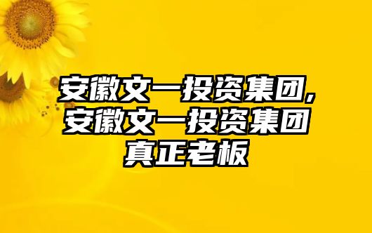 安徽文一投資集團(tuán),安徽文一投資集團(tuán)真正老板