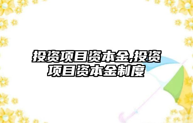 投資項目資本金,投資項目資本金制度