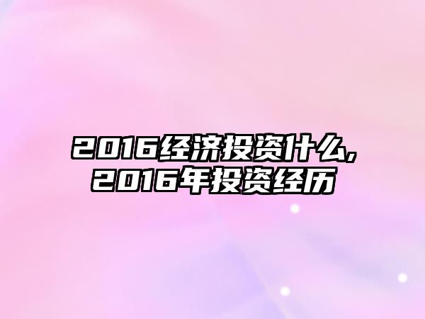 2016經(jīng)濟(jì)投資什么,2016年投資經(jīng)歷