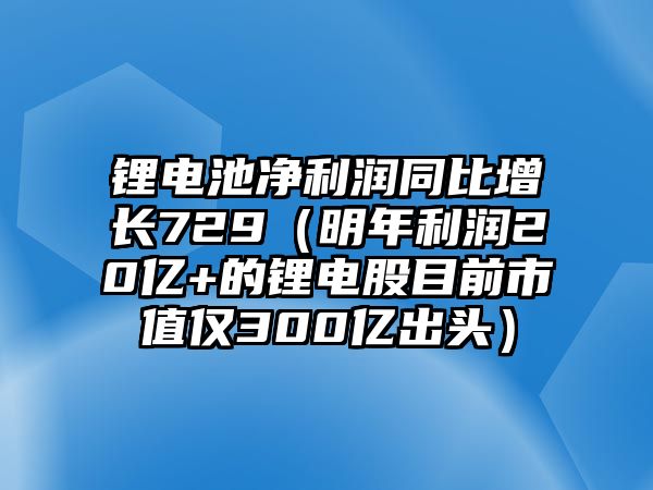 鋰電池凈利潤(rùn)同比增長(zhǎng)729（明年利潤(rùn)20億+的鋰電股目前市值僅300億出頭）