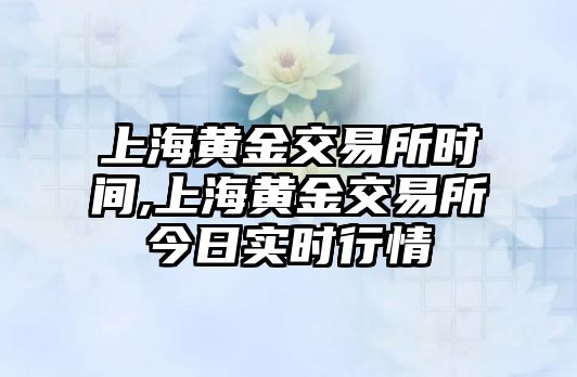 上海黃金交易所時間,上海黃金交易所今日實時行情