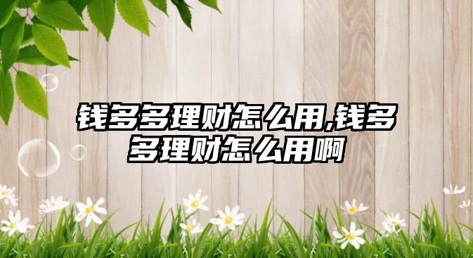 錢多多理財(cái)怎么用,錢多多理財(cái)怎么用啊