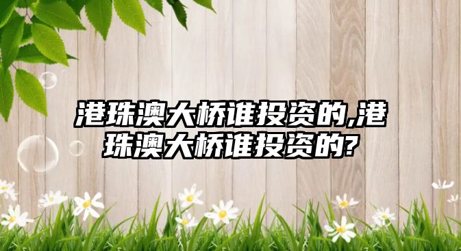 港珠澳大橋誰投資的,港珠澳大橋誰投資的?