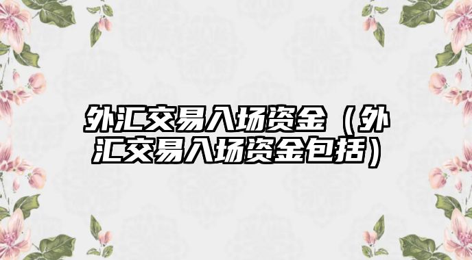 外匯交易入場資金（外匯交易入場資金包括）