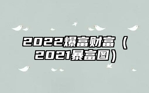 2022爆富財富（2021暴富圖）