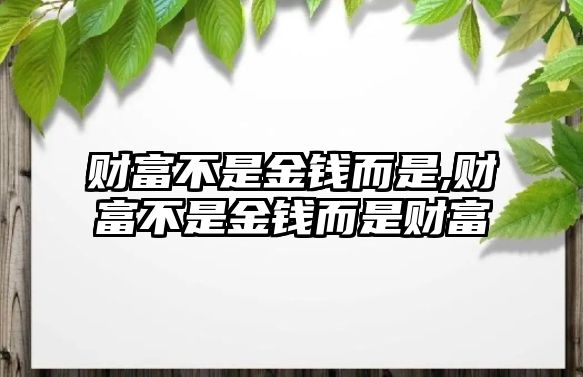 財(cái)富不是金錢而是,財(cái)富不是金錢而是財(cái)富