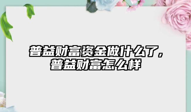 普益財(cái)富資金做什么了,普益財(cái)富怎么樣