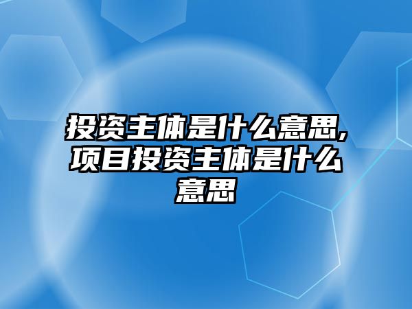 投資主體是什么意思,項(xiàng)目投資主體是什么意思