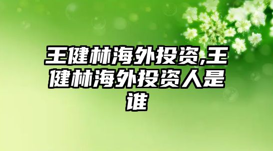 王健林海外投資,王健林海外投資人是誰