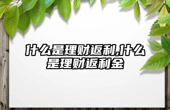 什么是理財(cái)返利,什么是理財(cái)返利金