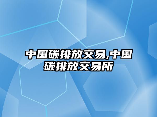 中國碳排放交易,中國碳排放交易所