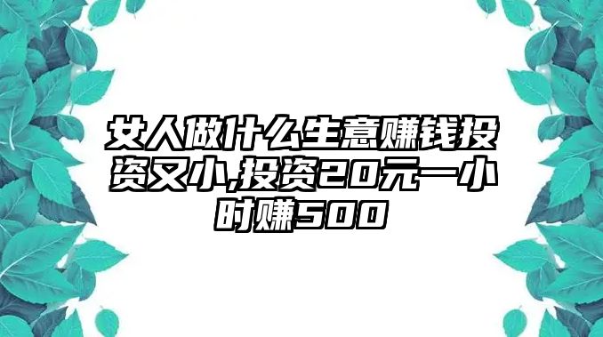 女人做什么生意賺錢投資又小,投資20元一小時賺500