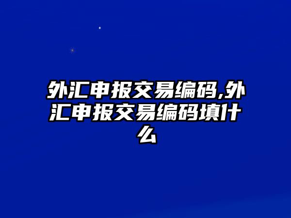 外匯申報(bào)交易編碼,外匯申報(bào)交易編碼填什么