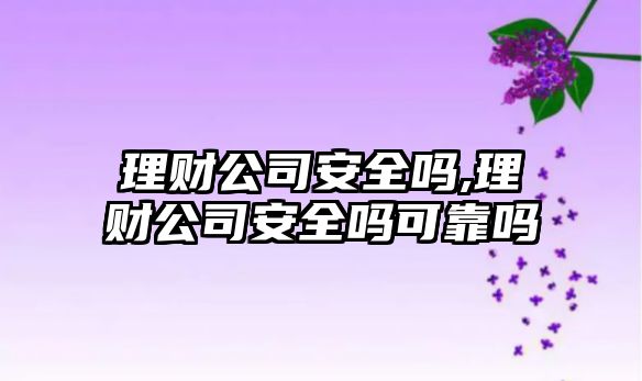 理財(cái)公司安全嗎,理財(cái)公司安全嗎可靠嗎