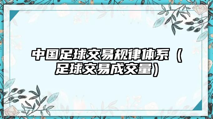 中國(guó)足球交易規(guī)律體系（足球交易成交量）