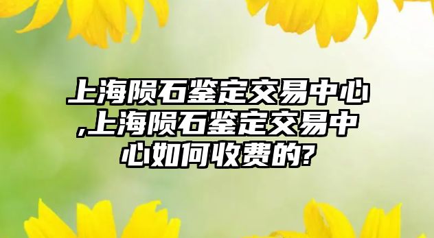 上海隕石鑒定交易中心,上海隕石鑒定交易中心如何收費的?