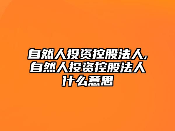 自然人投資控股法人,自然人投資控股法人什么意思