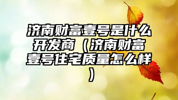 濟南財富壹號是什么開發(fā)商（濟南財富壹號住宅質(zhì)量怎么樣）