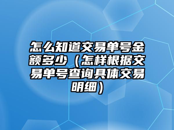 怎么知道交易單號金額多少（怎樣根據(jù)交易單號查詢具體交易明細）