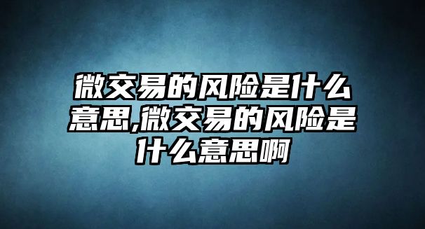 微交易的風(fēng)險是什么意思,微交易的風(fēng)險是什么意思啊