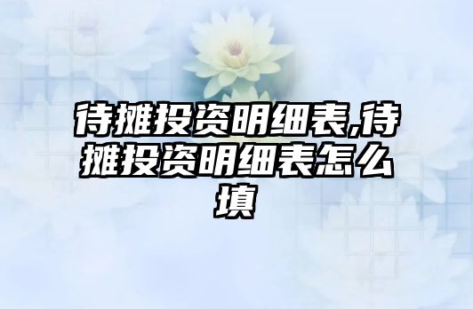 待攤投資明細(xì)表,待攤投資明細(xì)表怎么填