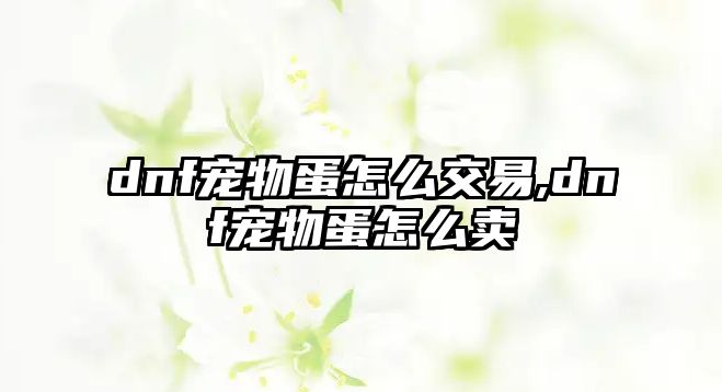 dnf寵物蛋怎么交易,dnf寵物蛋怎么賣