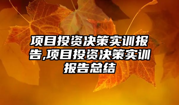 項目投資決策實訓(xùn)報告,項目投資決策實訓(xùn)報告總結(jié)