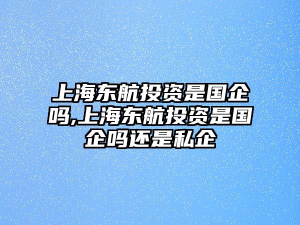 上海東航投資是國企嗎,上海東航投資是國企嗎還是私企