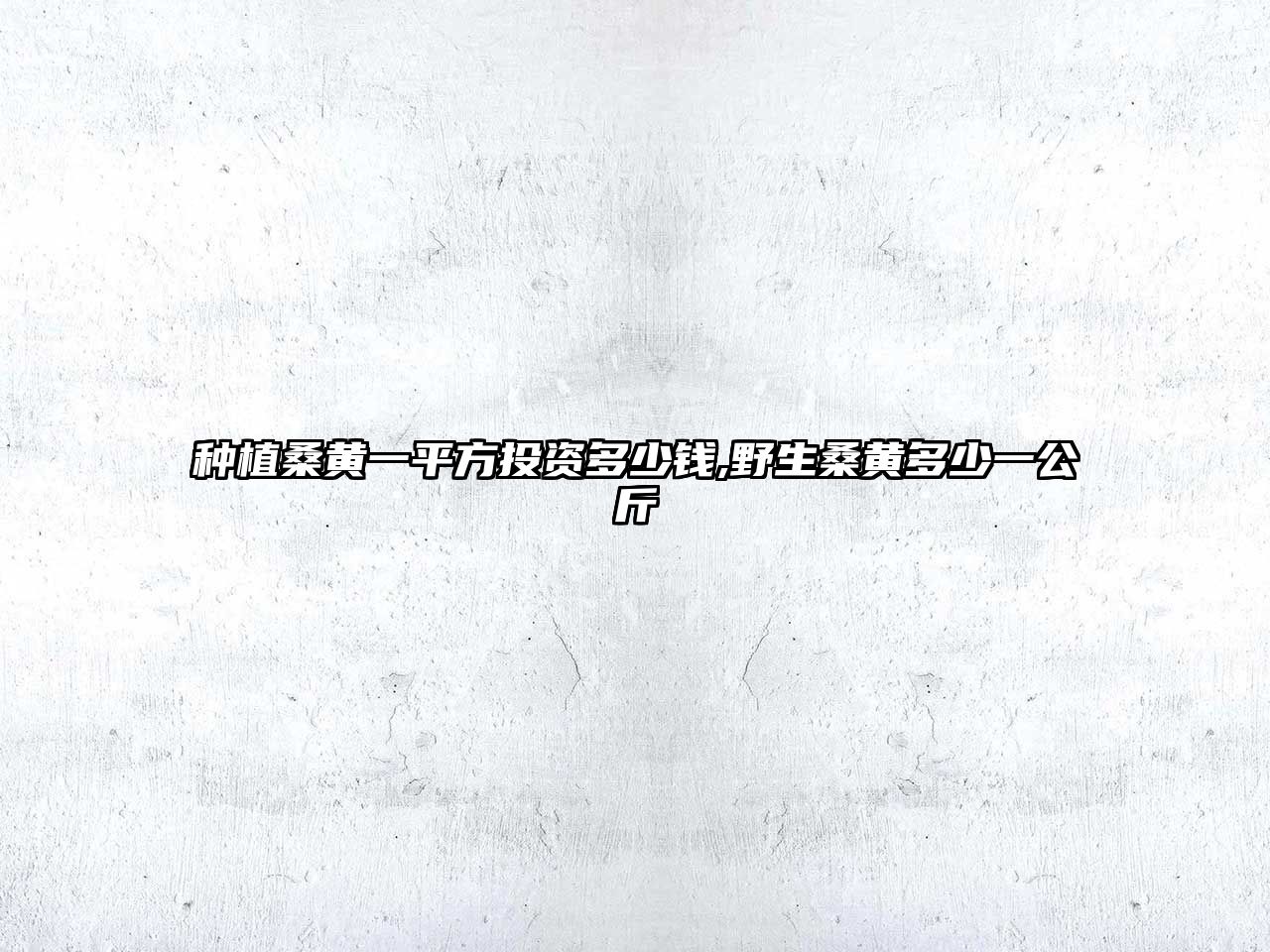 種植桑黃一平方投資多少錢,野生桑黃多少一公斤