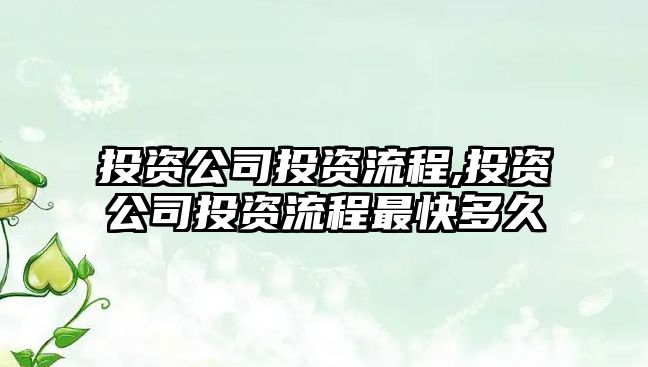 投資公司投資流程,投資公司投資流程最快多久