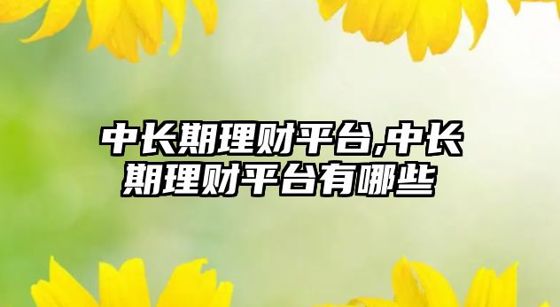 中長期理財平臺,中長期理財平臺有哪些