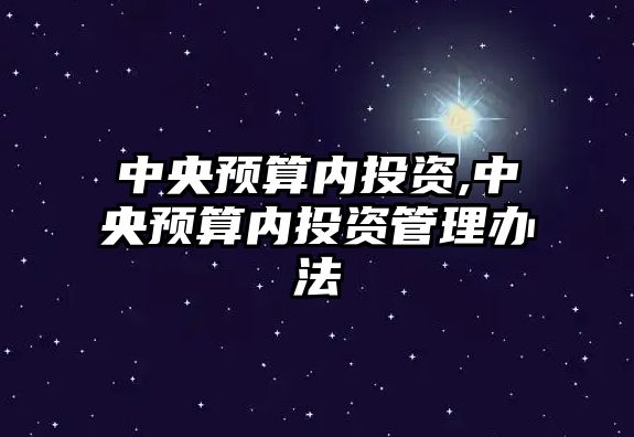 中央預算內(nèi)投資,中央預算內(nèi)投資管理辦法