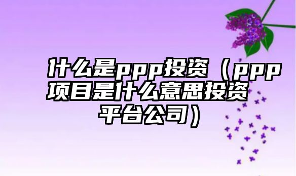 什么是ppp投資（ppp項目是什么意思投資平臺公司）