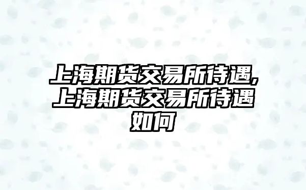 上海期貨交易所待遇,上海期貨交易所待遇如何