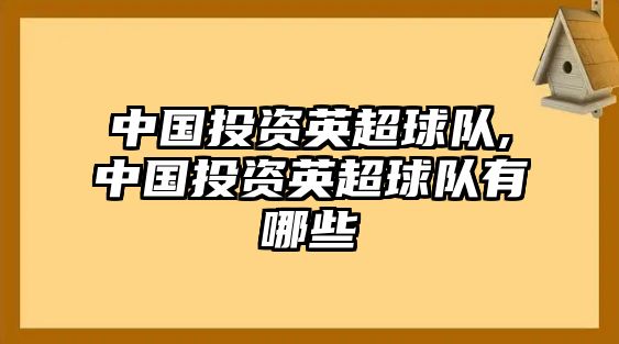 中國投資英超球隊(duì),中國投資英超球隊(duì)有哪些