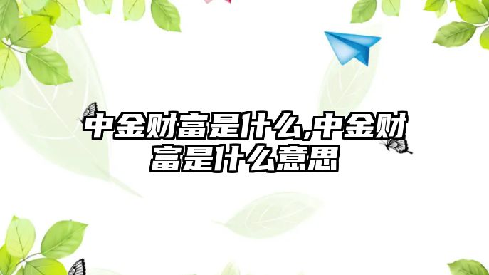 中金財(cái)富是什么,中金財(cái)富是什么意思