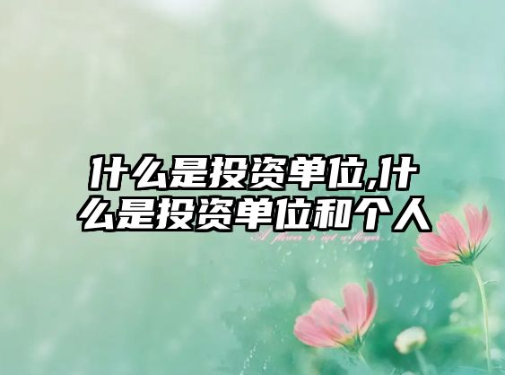 什么是投資單位,什么是投資單位和個人