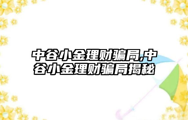 中谷小金理財騙局,中谷小金理財騙局揭秘